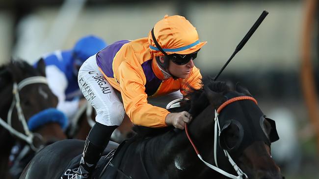 Dirty Work is now on the Chris Waller Racing short-list for a slot in The Everest. Photo: Getty Images.