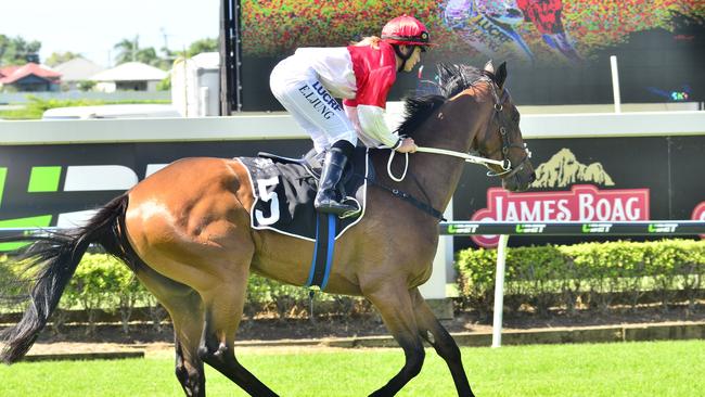 Steve Tregea’s Niccanova is a leading contender at the Sunshine Coast. Photo: Noel Pascoe