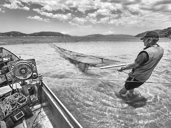 Commercial fisherman and mechanical winches hauling the net into the shallows on a sunny day