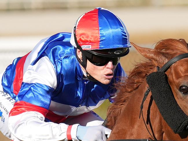 Holy Racket (NZ) ridden by Craig Williams wins the De Bortoli Country Trainers Final at Yarra Valley Racecourse on March 29, 2024 in Yarra Glen, Australia. (Photo by Scott Barbour/Racing Photos via Getty Images)