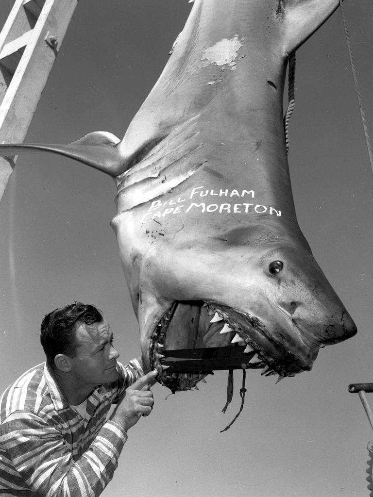 A time-wasting talkfest will not scare the sharks away | The Courier Mail