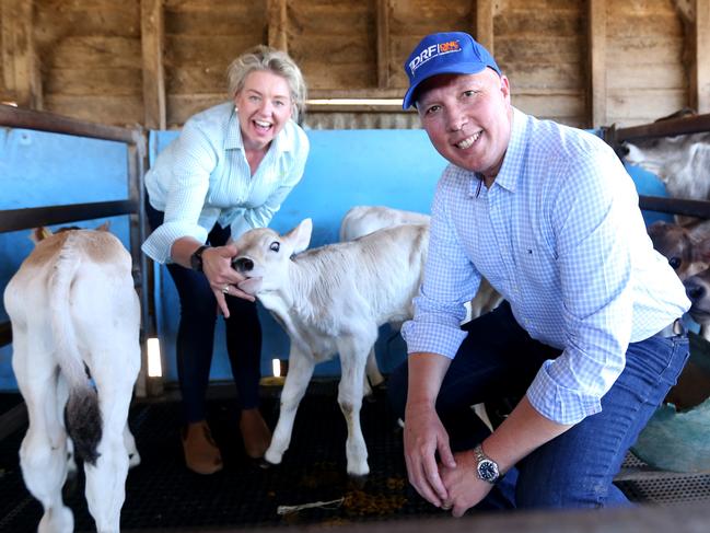 Bridget McKenzie pictured with Peter Dutton on a dairy farm in December. Picture: Steve Pohlner