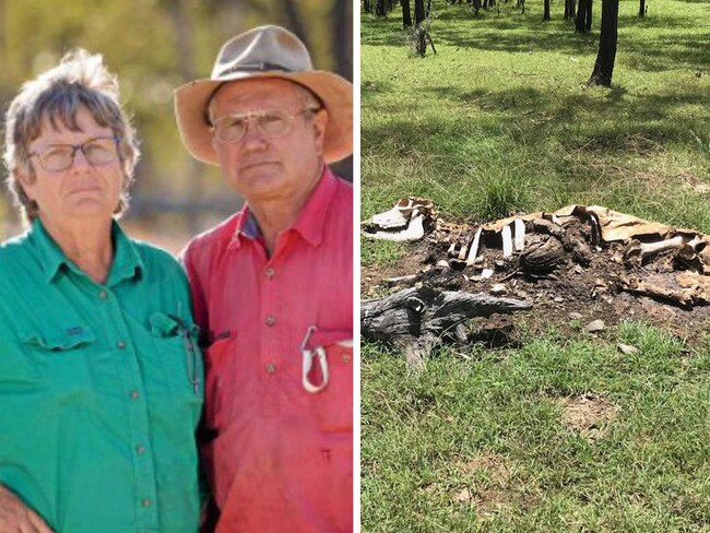 Aliens blamed for bizarre mutilation of 20 cows with no blood trace