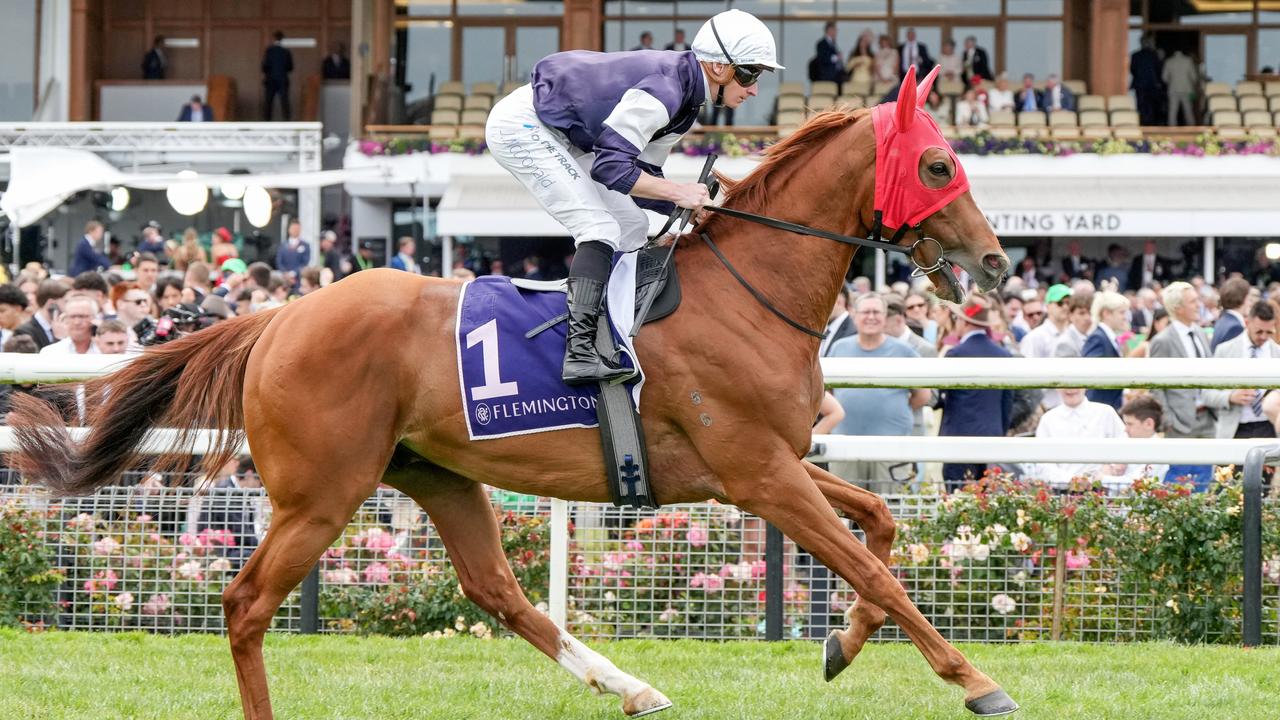 Serpentine before the Queen Elizabeth Stakes at Flemington in November. Picture: Racing Photos