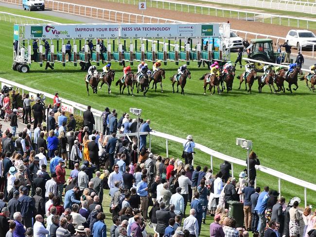 The field jumps at the start of Race 6 the Geelong Classic on Geelong Cup Day 2018. Picture: Stephen Harman