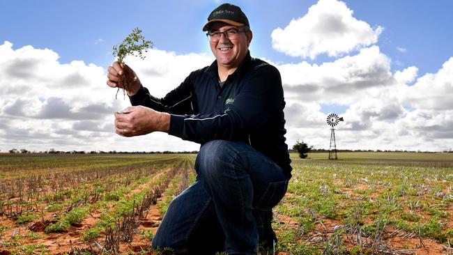 Grain Producers SA chairman John Gladigau. Picture: Tricia Watkinson