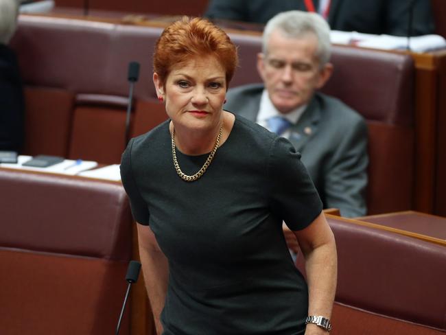 One Nation leader Pauline Hanson has vowed to fight for a ban next year. Picture: Gary Ramage