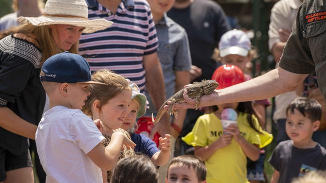 Steve from Walkabout Reptiles kept the kids entertained with his lizards. Picture: AAP/Matthew Vasilescu