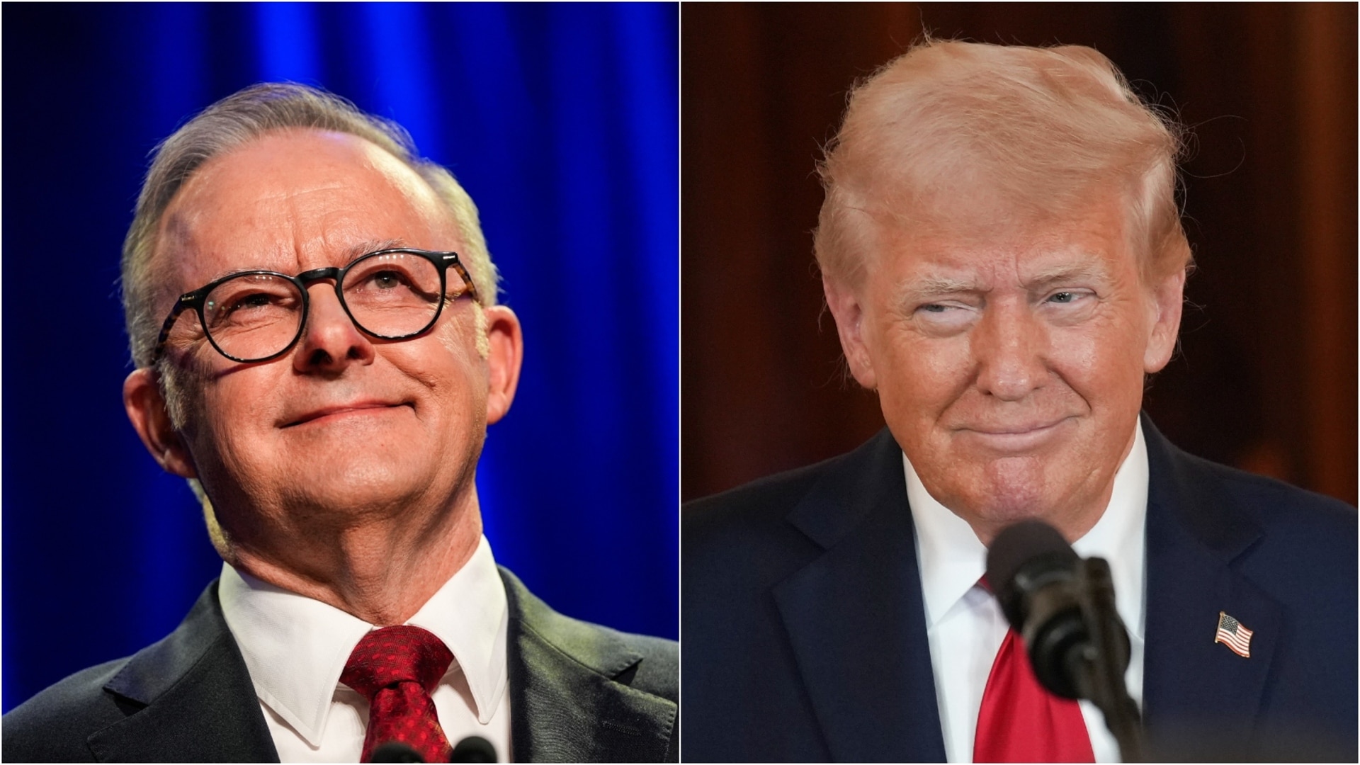 'Very friendly with Albanese': Donald Trump comments on Australian federal election