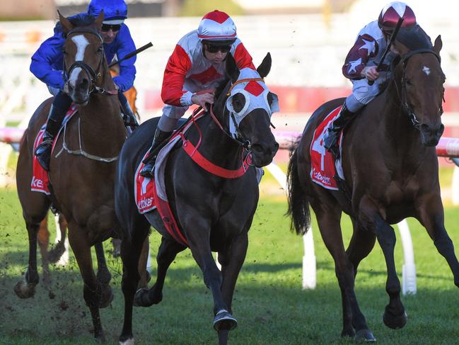 Anthony Darmanin guides Mystic Journey to victory in the P.B. Lawrence Stakes.