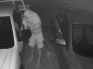 Dubbo man breaking into a car, Dubbo