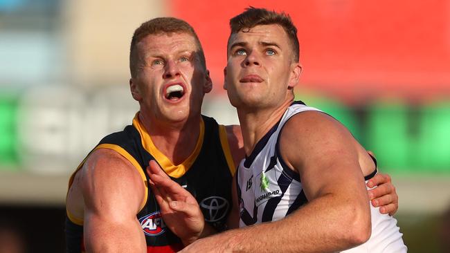 Adelaide’s Reilly O'Brien and Fremantle’s Sean Darcy do battle in the ruck on Sunday. Picture: Chris Hyde/Getty Images