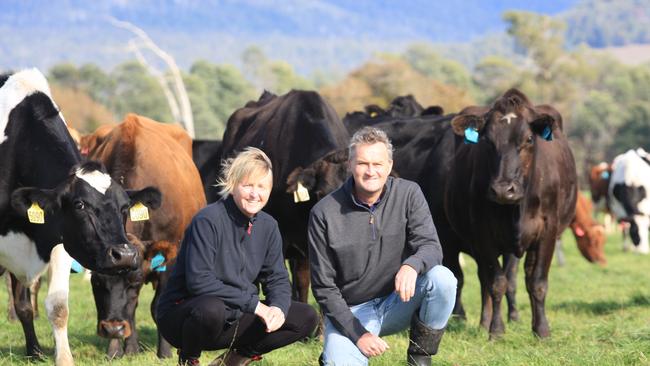 Evolving: The state’s dairy farmer of the year winners Kim and Grant Archer among some of their herd at Mountain Vale near Bracknell. Picture: Karolin Macgregor