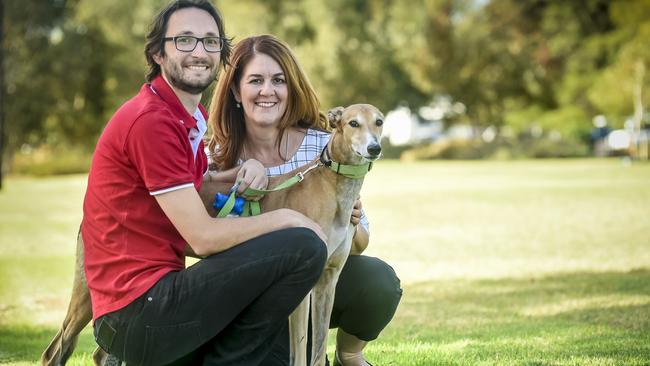 Greyhound owner Iordan Kostadinov with his dog Geoffrey and West Torrens councillor Elisabeth Papanikolaou. Picture: AAP / Roy VanDerVegt