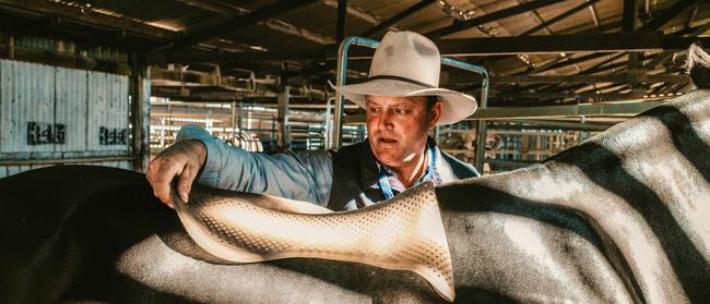 Guy McLean saddling up at Rockhampton’s Beef Australia earlier this month. PICTURE: Madeleine Stuchbery.