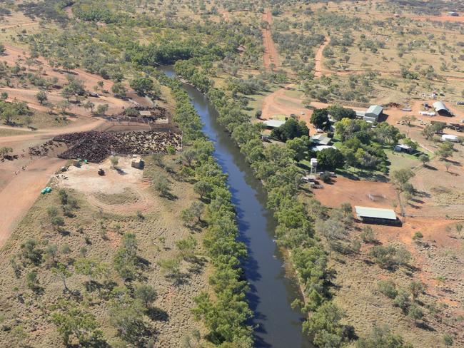 Filipino property tycoon to sell NT cattle station