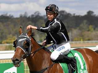 Apprentice jockey Stephanie Thornton Connoisseur won the Sirromet Class 5 Plate at the Ipswich racetrack. Picture: Rob Williams