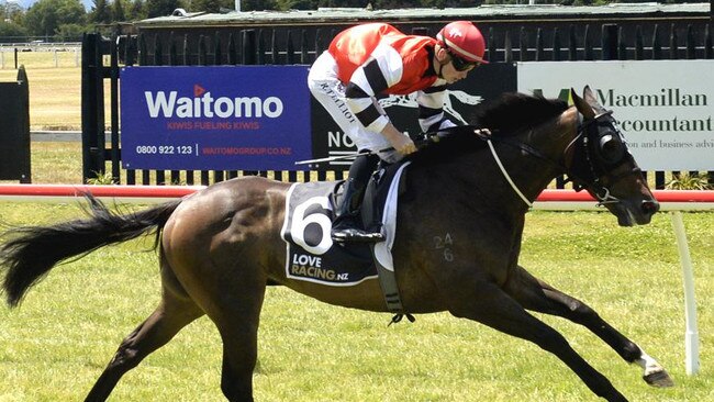 Reggiewood turned in a solid effort when resuming from a long spell. Picture: Race Images