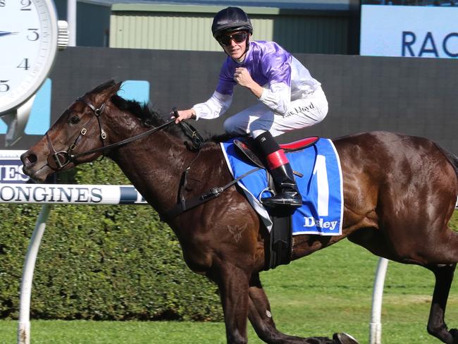 Zac Lloyd has faith smart filly Tiz Invincible can provide him with his first Group 1 win despite a wide draw in the Flight Stakes at Randwick on Saturday. Picture: Grant Guy