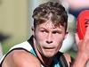 Where Covid sits with Power, Crows in round 1