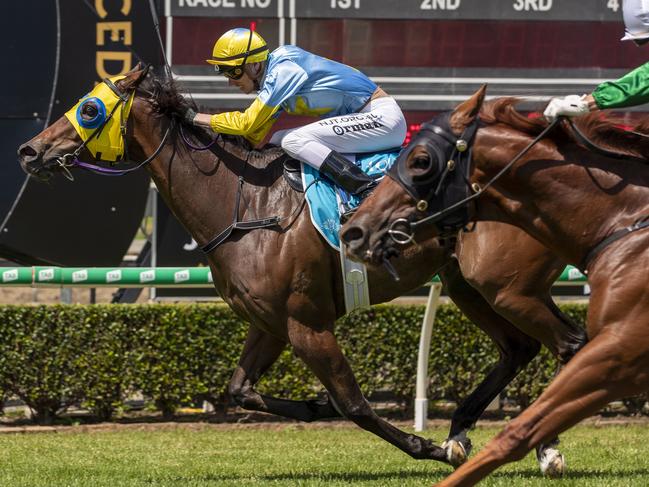 James Orman rides Mountbatten to victory in race 1, the Mount Franklin Class 4 Plate, during the QTIS Jewel Raceday at Aquis Park on the Gold Coast, Saturday, March 14, 2020. (AAP Image/Glenn Hunt)