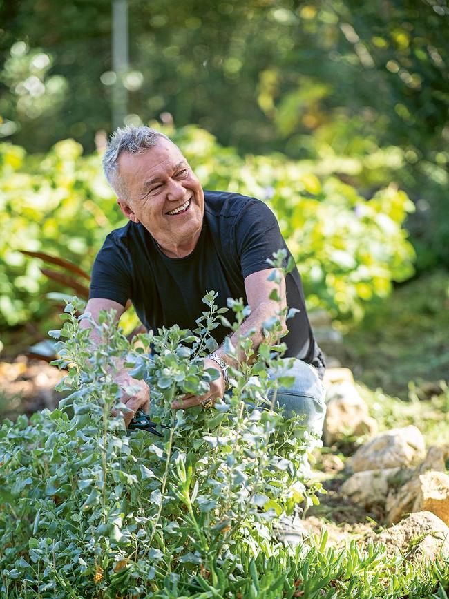 Jimmy Barnes has swapped the stage for the garden and he’s as shocked as any of us. Photo: Alan Benson.