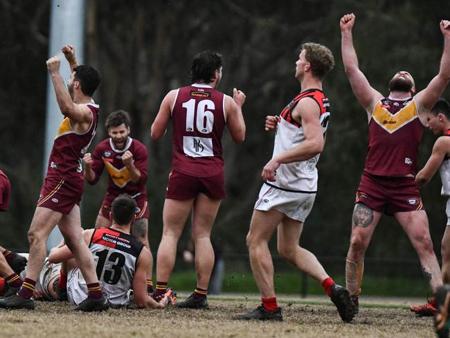 Lower Plenty celebrates its win. Picture: Nathan McNeill