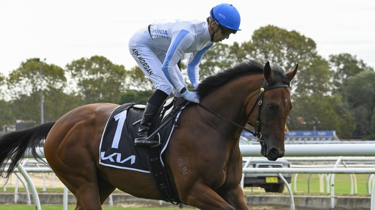 Ron Dufficy is keen to build a bank early at Randwick, with Hidden Motive in race one his best bet of the day. Picture: Bradley Photos