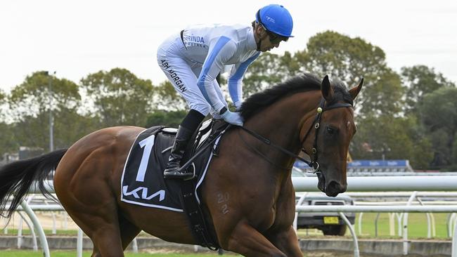 Ron Dufficy is keen to build a bank early at Randwick, with Hidden Motive in race one his best bet of the day. Picture: Bradley Photos