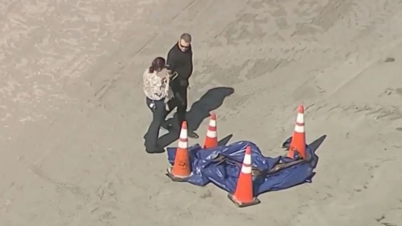 A beach worker in Key Biscayne found the teen’s head after it washed ashore on Tuesday. Picture: NBC 6 Miami