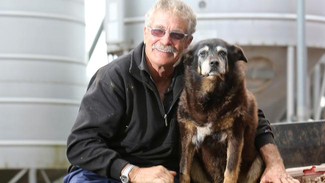 Brian McLaren and his dog Maggie. Picture: Yuri Kouzmin