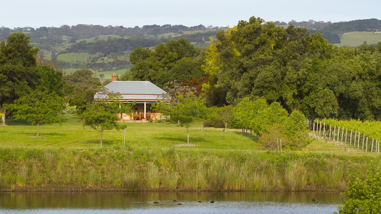 Last-ditch bid to save award-winning McLaren Vale winery