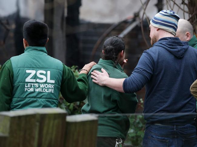 London Zoo employees comfort a colleague after a fire broke out at a cafe and shop at London Zoo.  Picture:  AFP