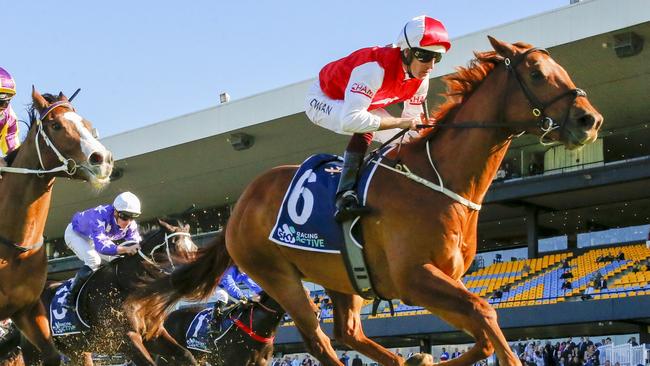 The John O’Shea-trained Pizarro is in great form and can make it back-to-back wins at Randwick on Saturday. Picture: Getty Images