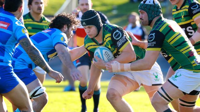 Gordon during last year’s Shute Shield.