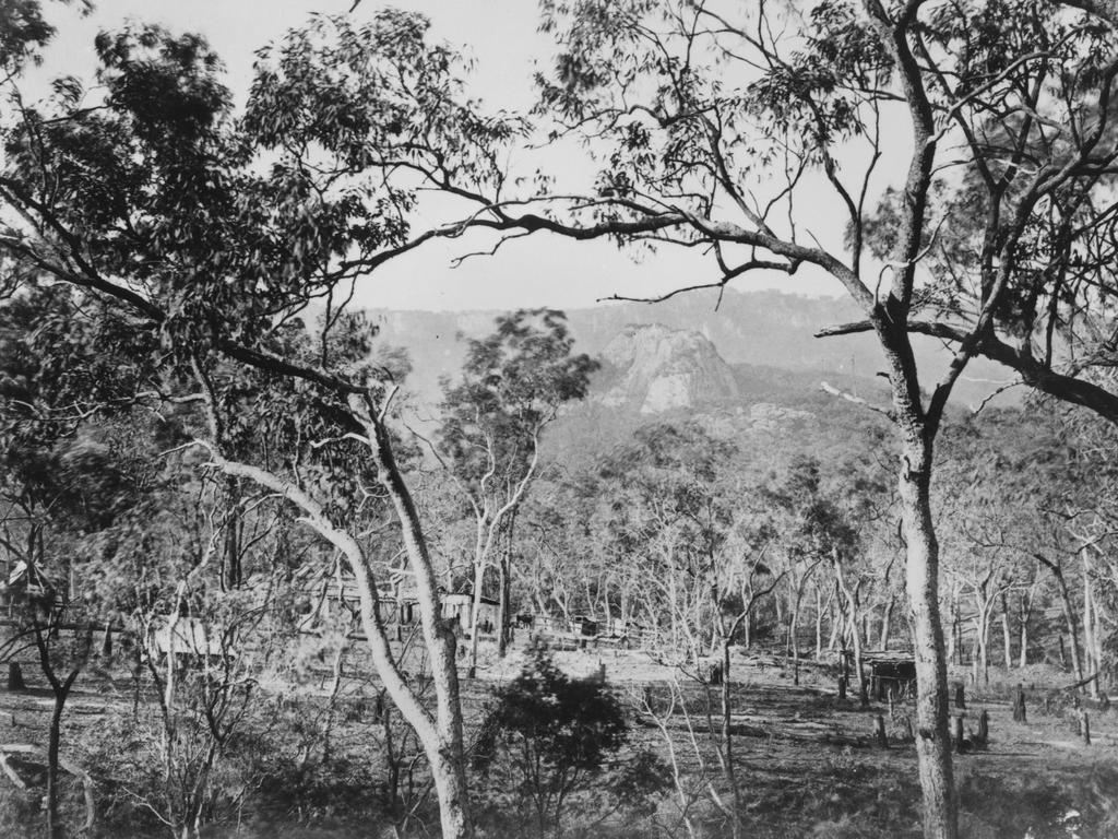 PRIME PICKINGS: The Mount Britton goldfield at Oakey Creek c 1881. Picture: State Library of Queensland.