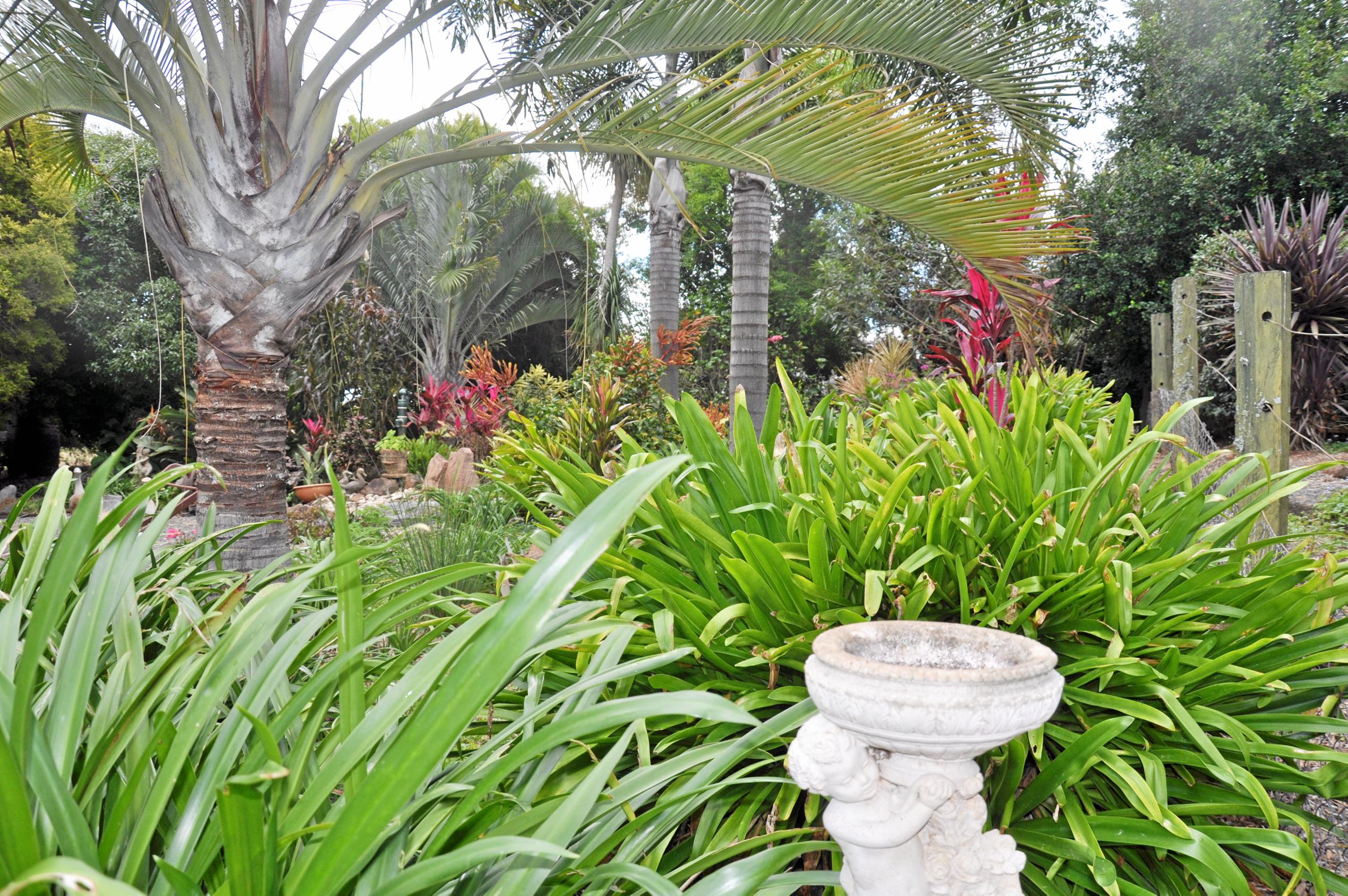 Monto Garden Club visits Roy and Bev Marbach's property. Picture: Mackenzie Colahan