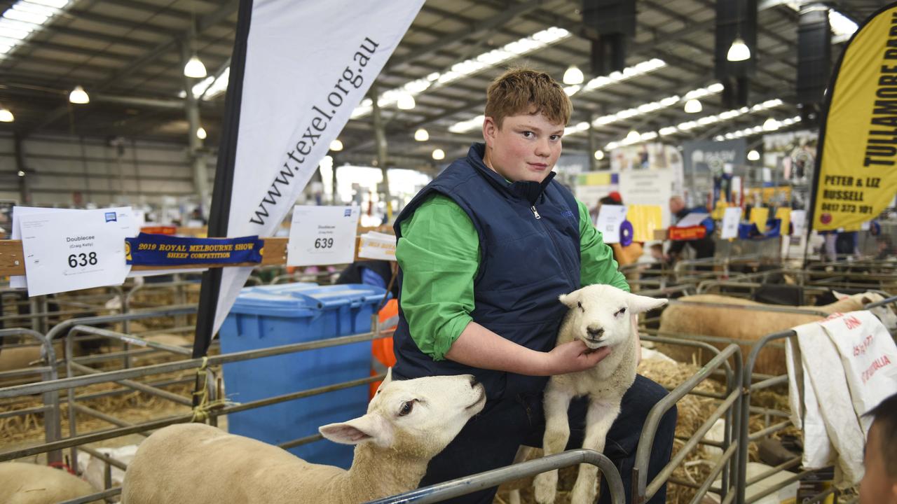 Blake Bridgett, 15 from Culcairn, NSW, with a Texel lamb at the Royal Melbourne Show. Photo: Dannika Bonser