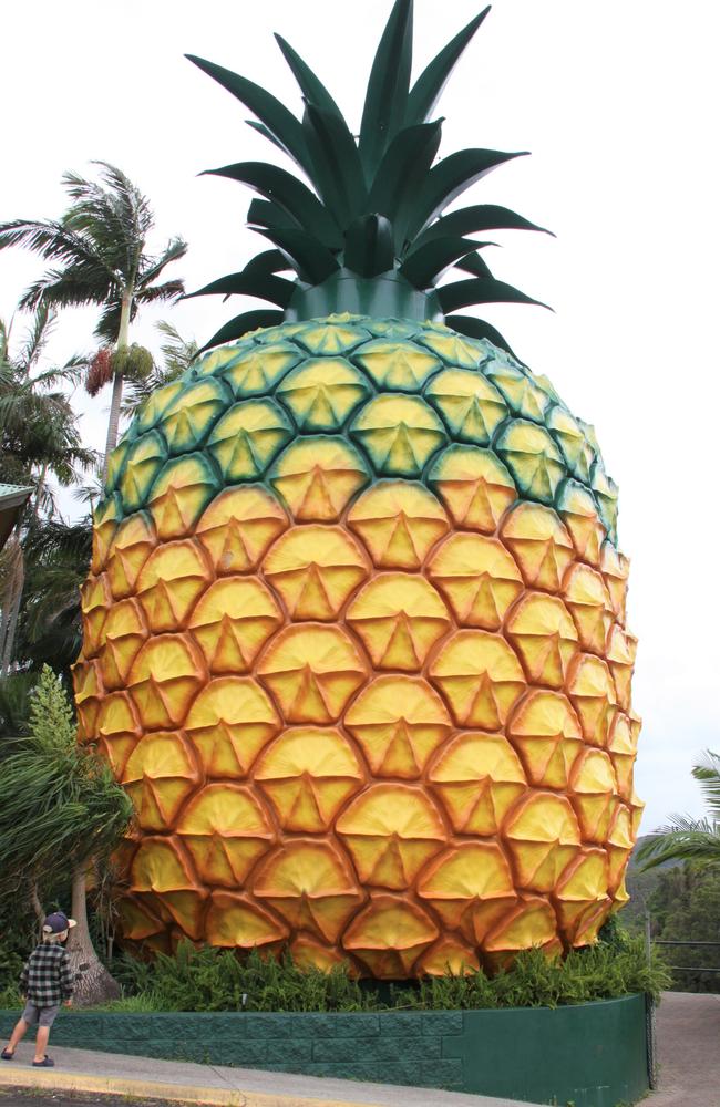 The Big Pineapple, Queensland. Picture: Jennifer Ennion