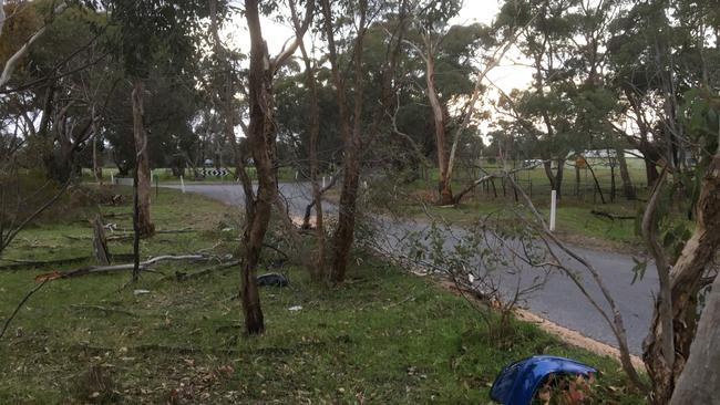 Crash site where a woman died after her car hit a tree on the intersection of Upper Penneys Hill Rd and Piggott Range Rd, Onkaparinga Hills