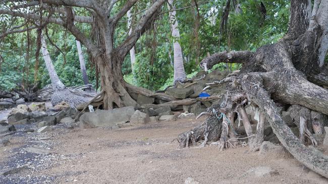 The men were found in mangroves on Saibai Island while trying to run from ABF officials and had been ferried into Australian waters by five PNG nationals ﻿in a dinghy.