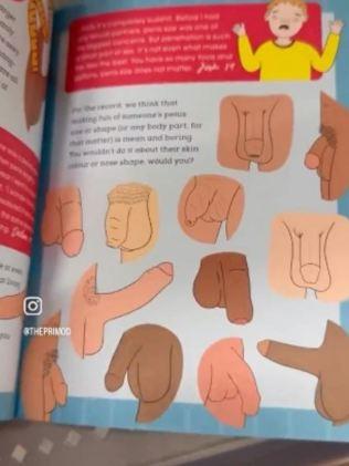 Some parents have described the content of the new book as "graphic". Picture: Instagram/Primod