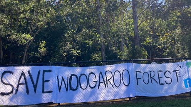 Ipswich residents will hold a protest on June 16 to rescue endangered koalas at Woogaroo Forest. Picture: Save Woogaroo Forest