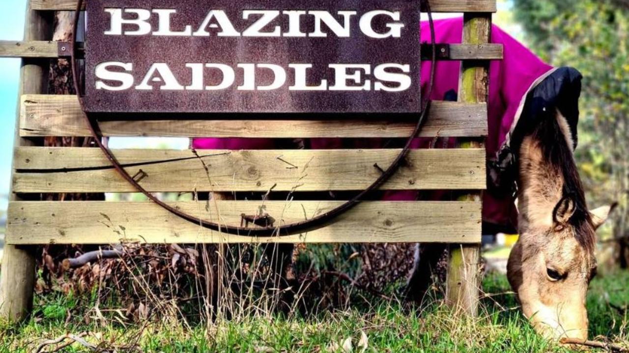 Blazing Saddles Trail Rides at Aireys Inlet. Picture: Instagram