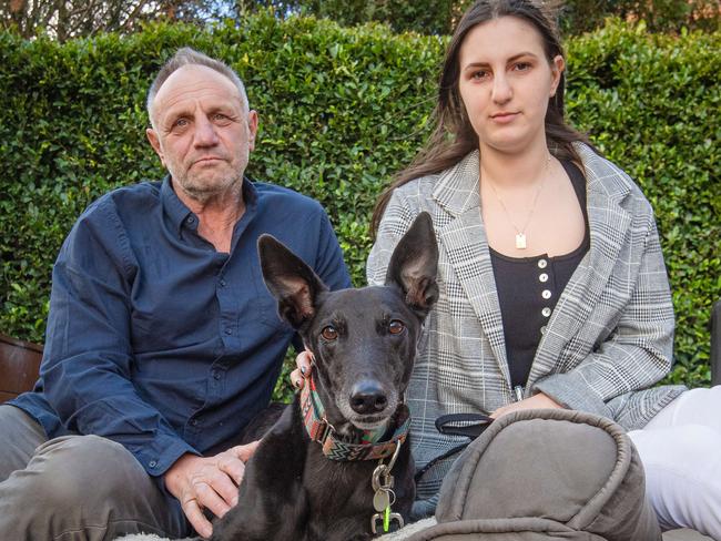 Lior Mileikowski and father Denny have lost their court case to be able to walk greyhound Willow off-leash at an off-leash area. But the family will continue to fight to have the "unfair" law targeting greyhounds changed. Picture: Jason Edwards