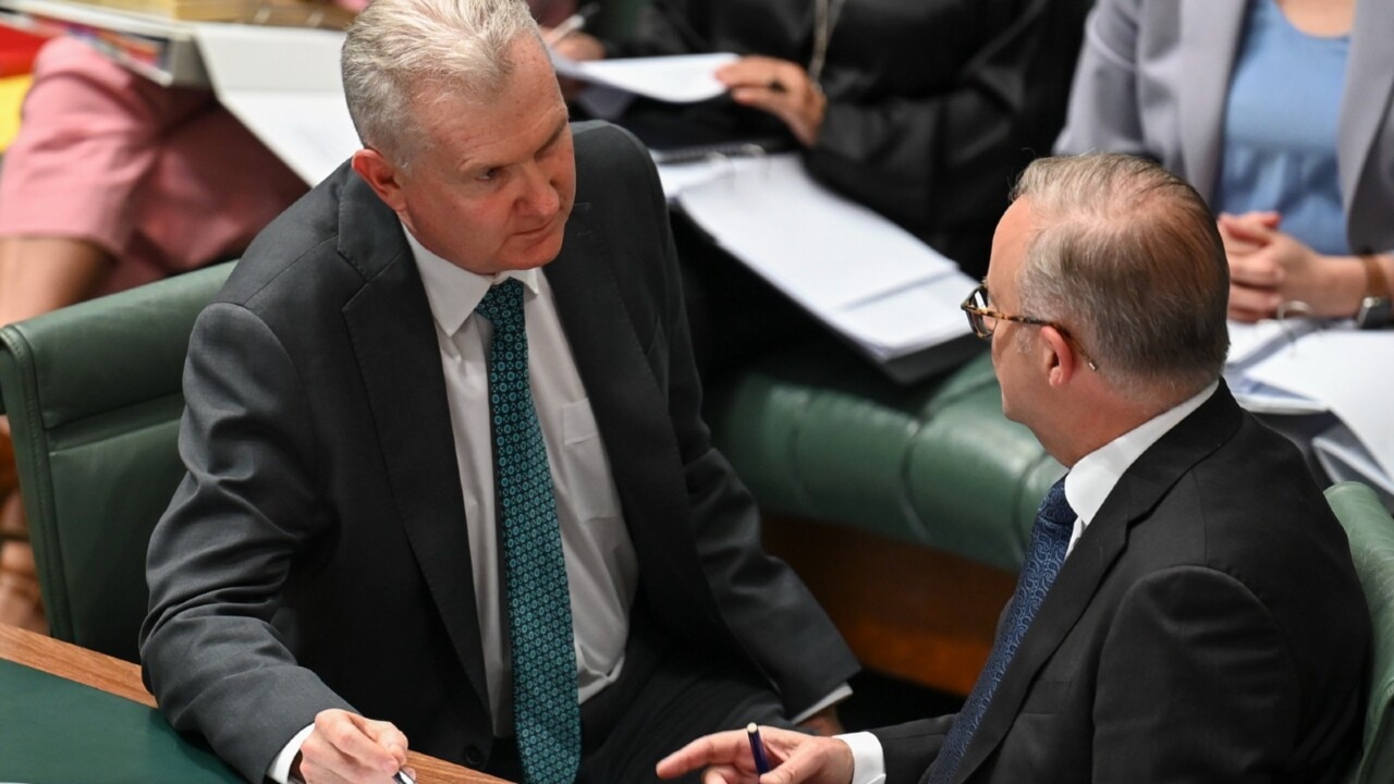 ‘Epitome of what is wrong with this government’: Criticism over Tony Burke’s expenses