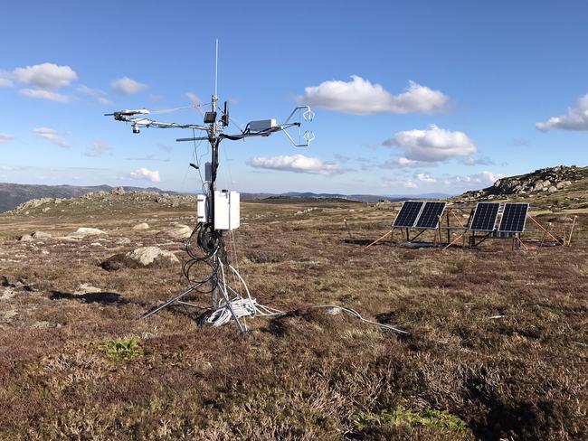 A University of Tasmania study has revealed Arctic and alpine tundras impact on carbon emissions. Picture: Supplied