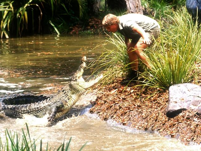 Steve Irwin — His Life In Pictures | Herald Sun