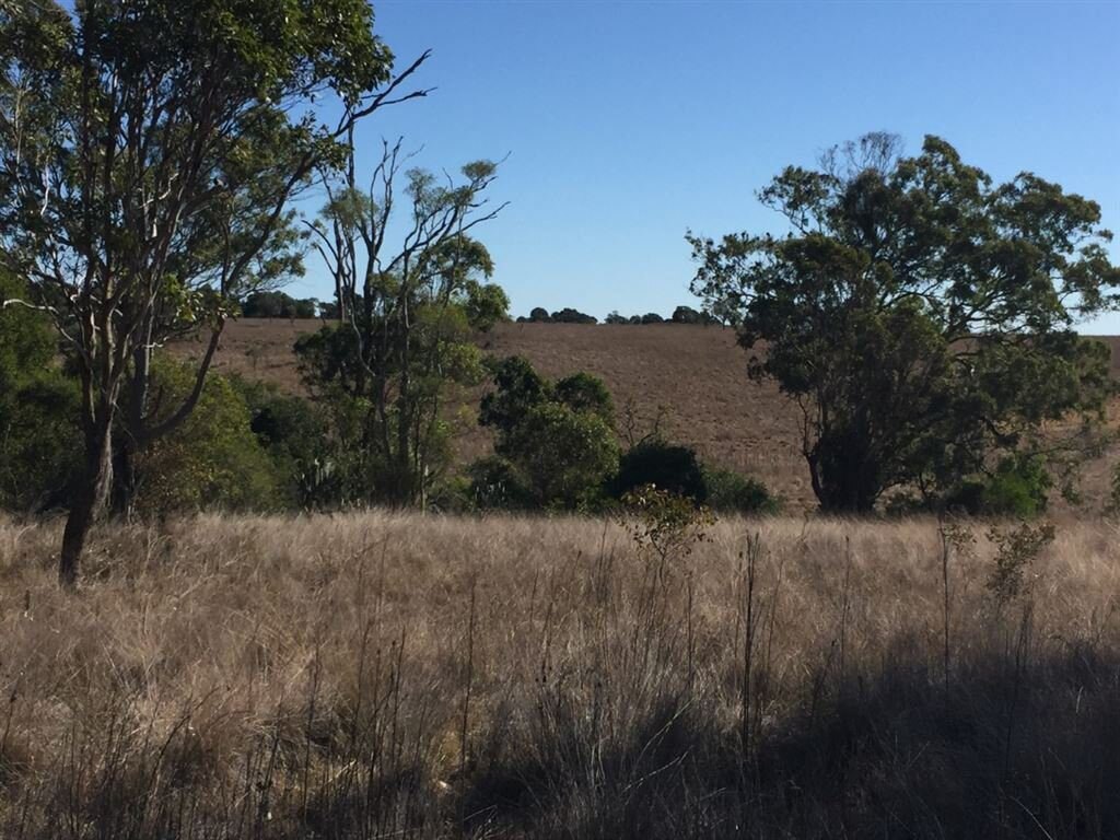 The 23.7 ha site at 1 O'brien Rd, Highfields. Photo Contributed. Picture: Contributed