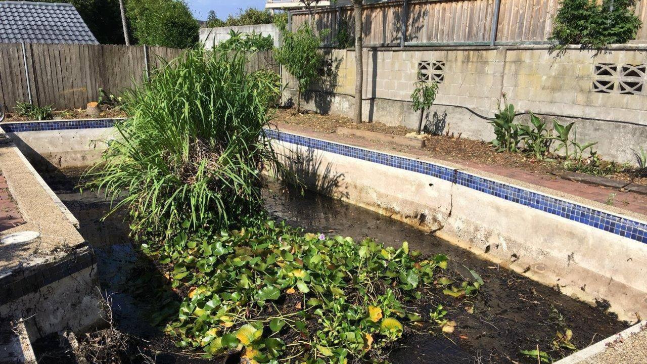 There was a tree growing out of this pool. Picture: Jim’s Pool Cleaners